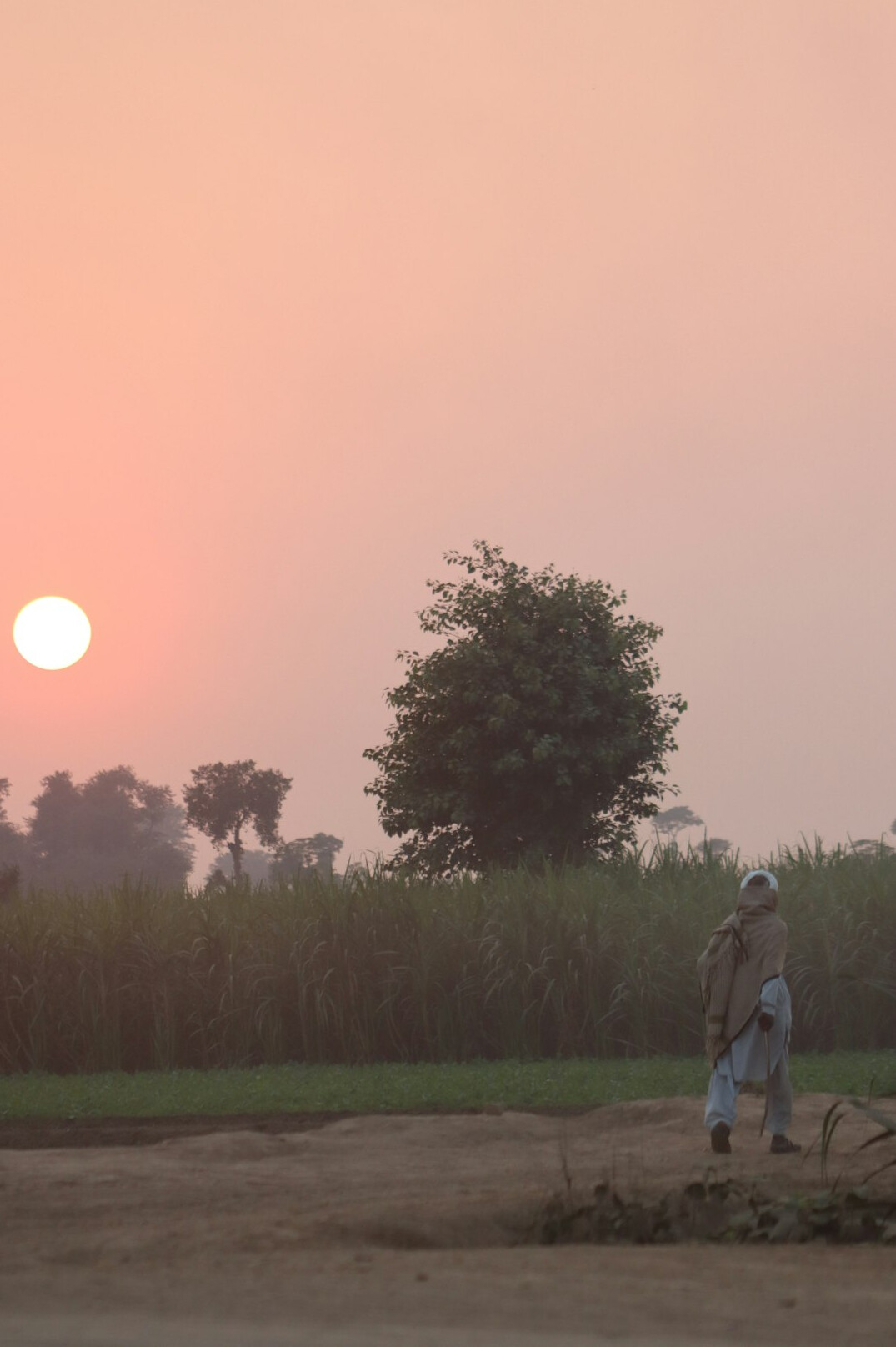 farmer working at sunrise